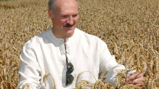 Лукашенко про урожай 