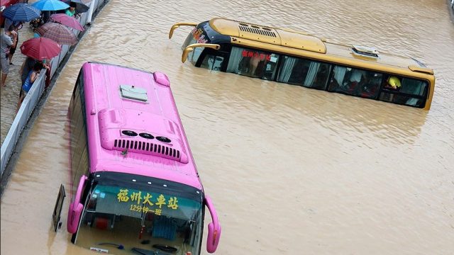 автобусы на затопленной улице