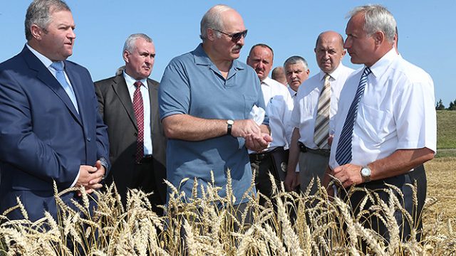 А. Лукашенко в поле