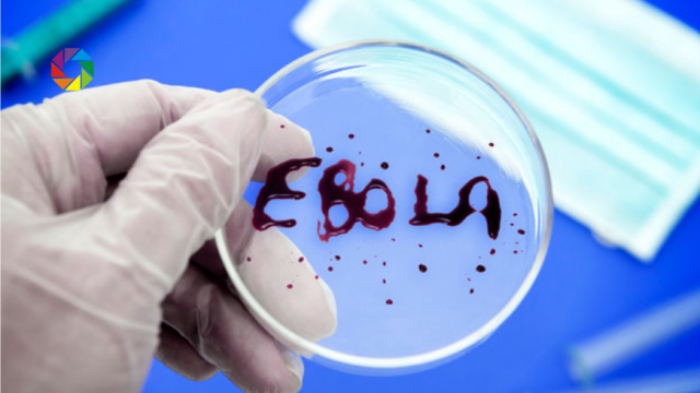 вирус Эбола