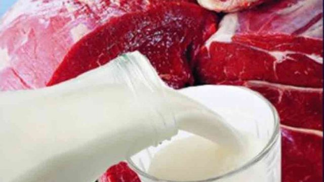 Поставки мясо-молочной продукции