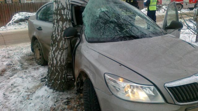 В Заводском районе автомобиль врезался в дерево