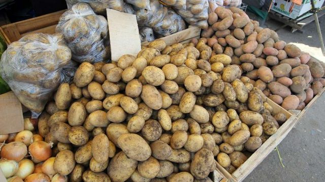 В Минске прошлогодний картофель будет стоить не дороже  Br6,3 тыс.