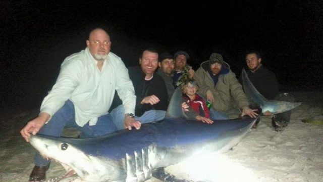 Рыбак из штата Флорида поймал акулу весом более четверть тонны