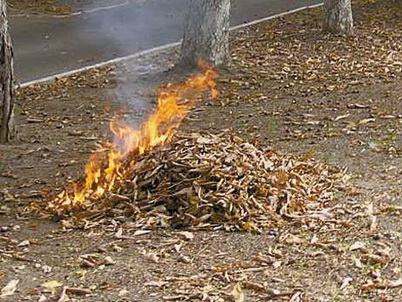 В Могилеве под горящими листьями погиб мужчина