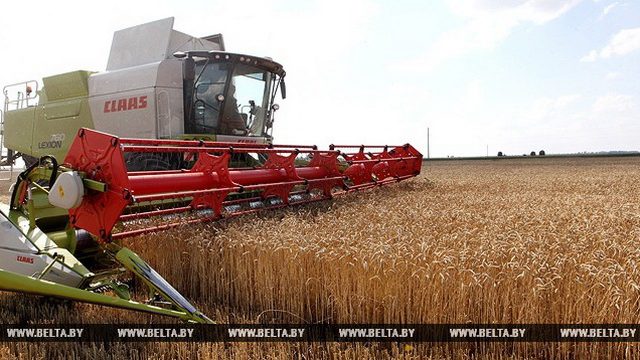 В Беларуси собрали первый миллион тонн зерна