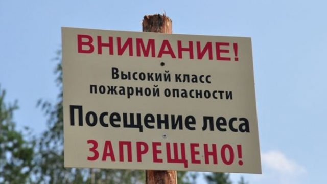 Во всех районах Беларуси введен запрет на посещение лесов