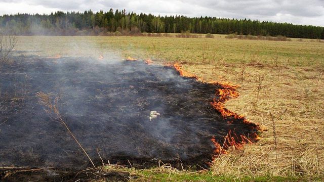 В Шумилинском районе от огня пострадал пенсионер, поджёгший мусор