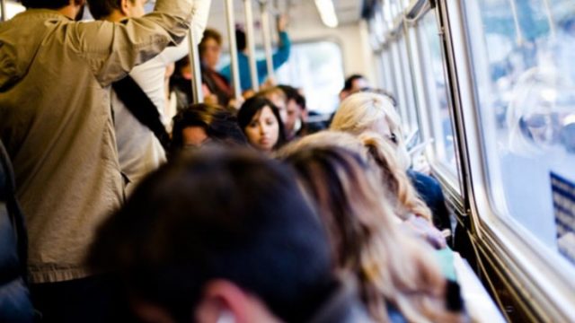 С 1 сентября общественный транспорт в Минске станет ходить чаще