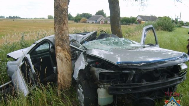 В Дрогичинском районе водитель "Пежо" врезался в дерево