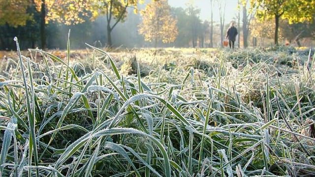 В ночь на 1 октября в Беларуси ожидаются заморозки до -4