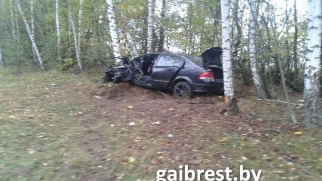 В Каменецком районе водитель врезался в дерево, понадобилась помощь МЧС