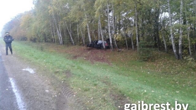 В Каменецком районе водитель врезался в дерево, понадобилась помощь МЧС