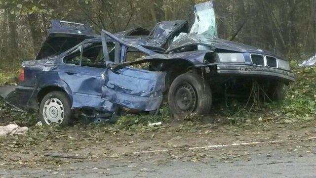В Логойском районе в ДТП из-за енота погиб пассажир