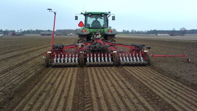 В Беларуси завершили посев озимых зерновых