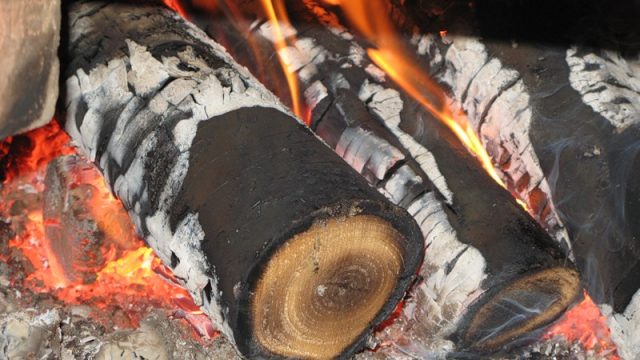 Бобруйчанин, разжигая печь бензином, получил сильные ожоги