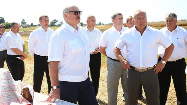 Лукашенко в поле