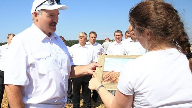 Лукашенко в поле