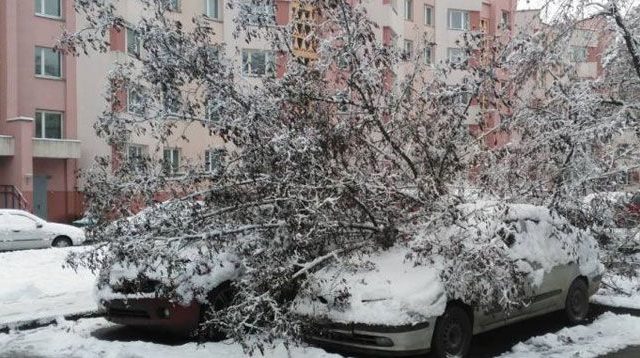 Снег и машины 
