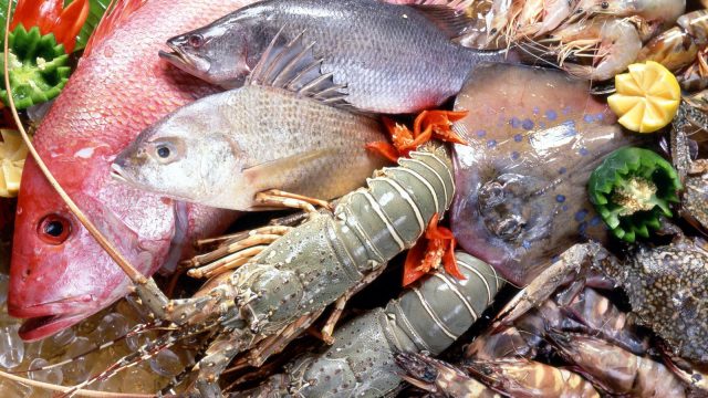 морепродукты и рыба
