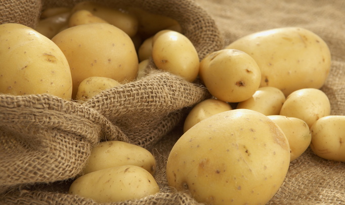 Польская картошка в Беларуси