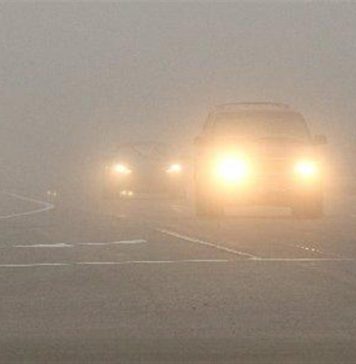 туман-на-дороге