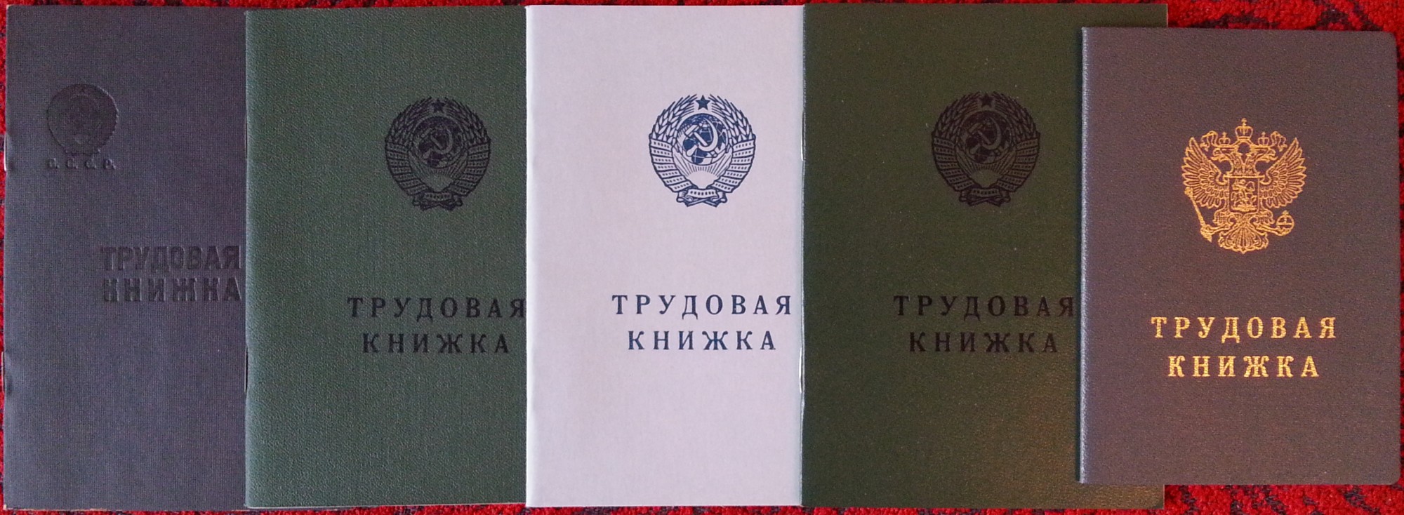 Виды трудовых книжек. Тру ДОВЫЕ кеижки и вилы. Тип трудовой книжки. Трудовая книжка является.