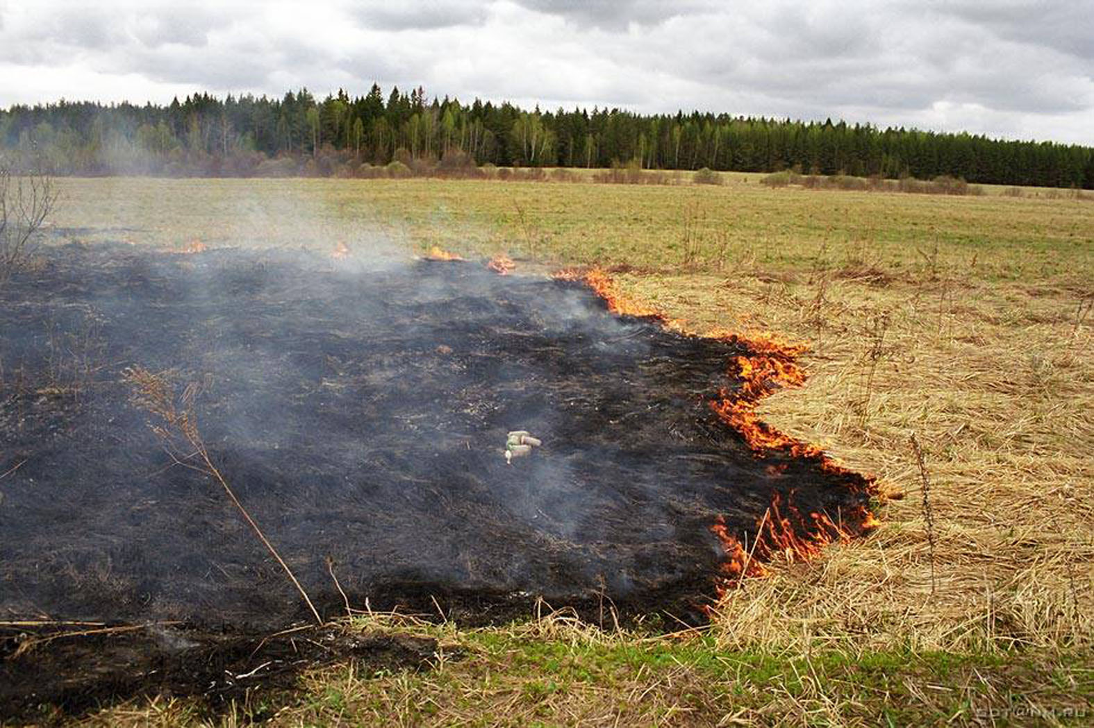 Защита горючих материалов. Выжигание сухой растительности. Пал травы. Сгоревшая трава. Сожженное поле.