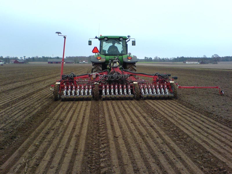В Беларуси завершили посев озимых зерновых