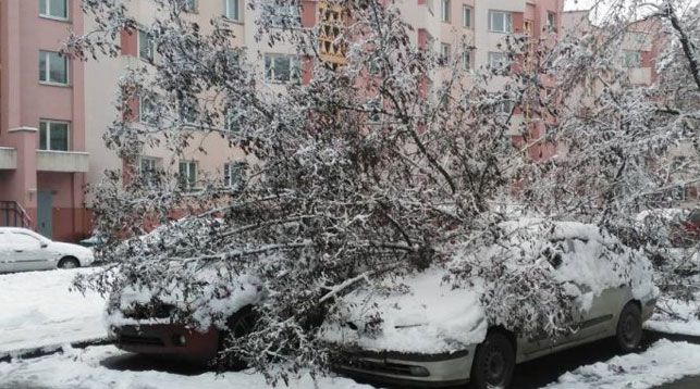 Снег и машины
