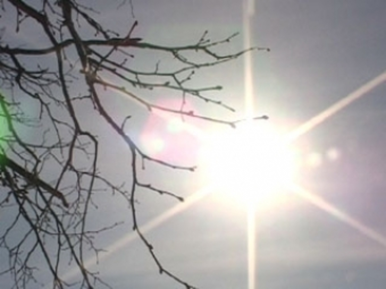солнце зимой