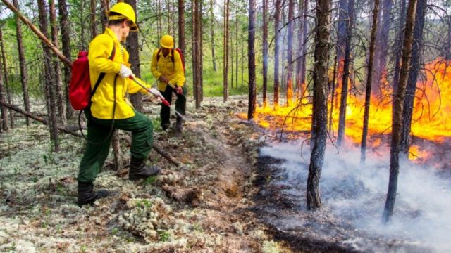 В Гомельской области возросла опасность лесных пожаров