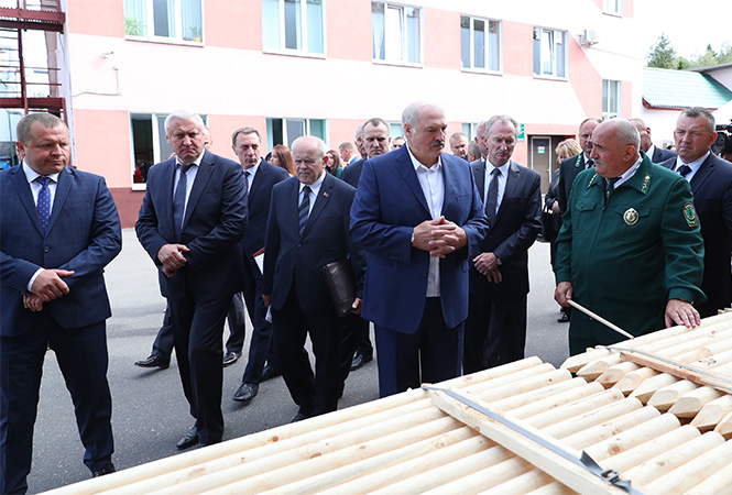 Лукашенко поручил за три года пустить на щепки всю некачественную древесину