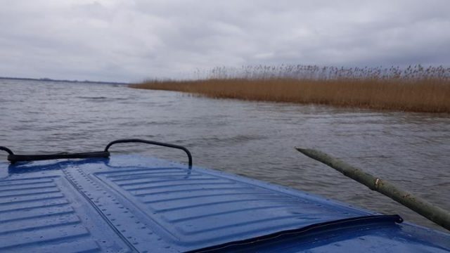 В Верхнедвинском районе в озере утонули два человека