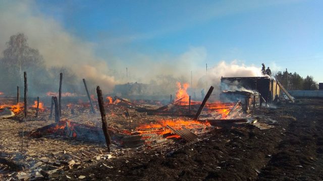В Петриковском районе из-за выжигания сухой травы сгорели пять сараев